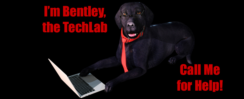 Need Help? Call Bentley, our TechLab